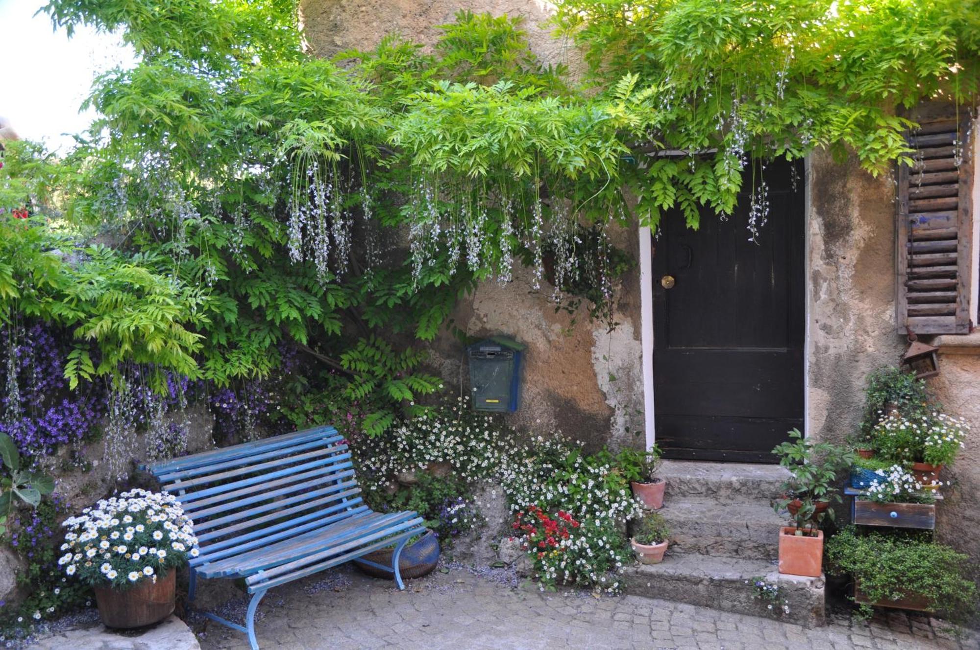 Le Clos Geraldy - Chambres D'Hotes De Charme, Piscine Et Spa Saint-Maximin Exterior foto